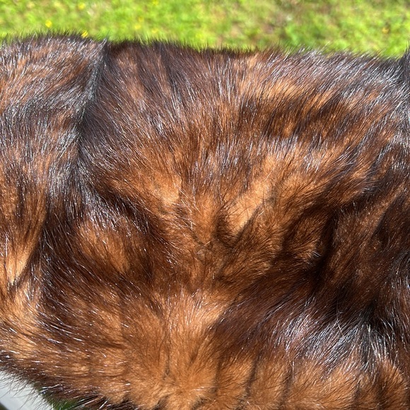 Gorgeous Brown Genuine Mink Pocketbook - Picture 8 of 11